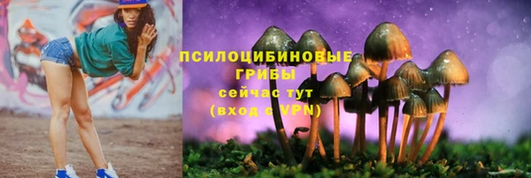 стаф Верхнеуральск