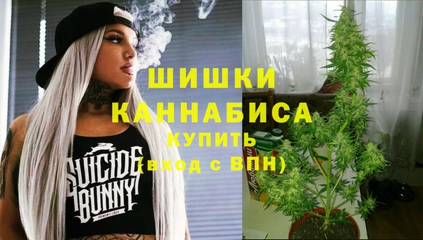 метадон Верея