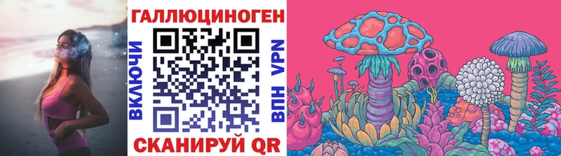 купить   Гудермес  Псилоцибиновые грибы GOLDEN TEACHER 
